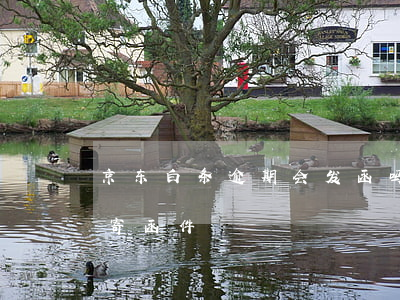 京东白条逾期会发函吗(京东白条逾期多久会寄函件)