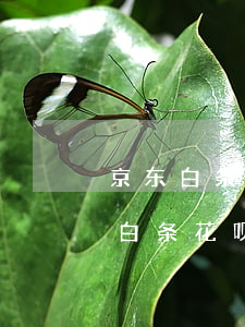 京东白条逾期会影响蚂蚁借呗的使用吗?（京东白条花呗逾期会怎么样）