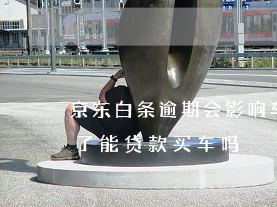 京东白条逾期会影响车贷嘛-京东白条逾期了能贷款买车吗