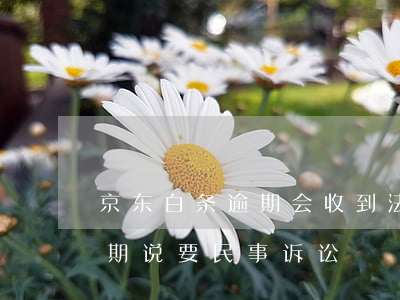 京东白条逾期会收到法院传票-京东白条逾期说要民事诉讼
