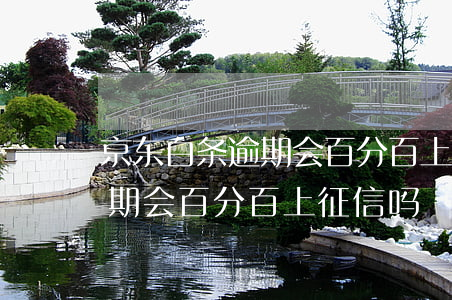 京东白条逾期会百分百上征信吗(京东白条逾期会百分百上征信吗)