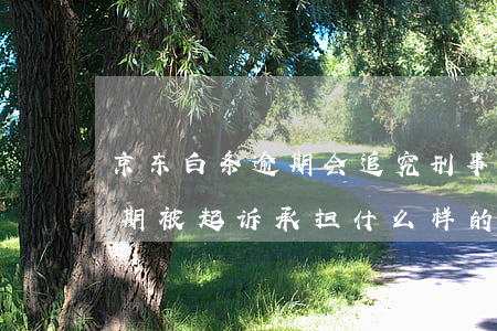京东白条逾期会追究刑事责任吗(京东白条逾期被起诉承担什么样的法律责任)