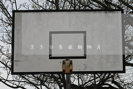 京东白条逾期俩月