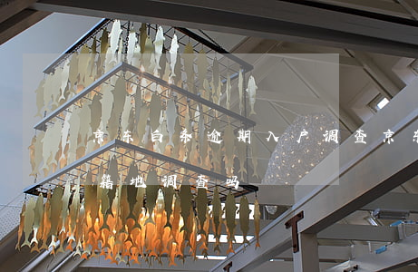 京东白条逾期入户调查(京东白条逾期要到户籍地调查吗?)