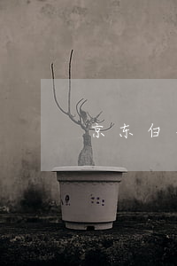 京东白条逾期全款(京东白条不小心逾期了)