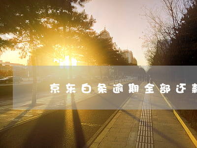 京东白条逾期全部还款后多久能再次借款？