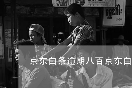 京东白条逾期八百(京东白条逾期八百)