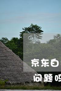 京东白条逾期六十天(京东白条逾期60天有问题吗)