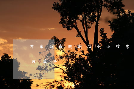 京东白条逾期几个小时（京东白条逾期多少天内没事）