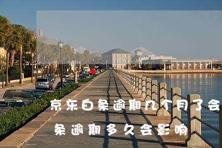 京东白条逾期几个月了会有什么后果?（京东白条逾期多久会影响）