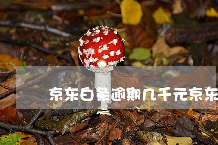 京东白条逾期几千元(京东白条逾期几千元)