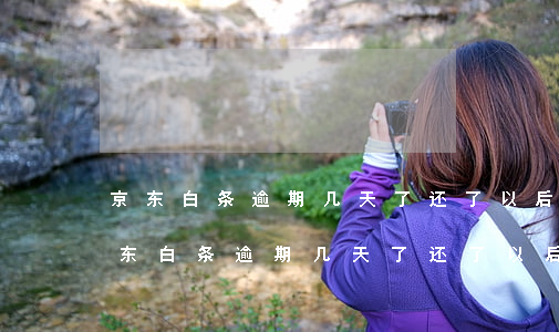 京东白条逾期几天了还了以后还能用吗?-京东白条逾期几天了还了以后还能用吗