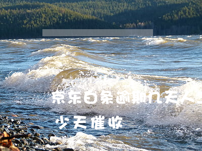 京东白条逾期几天人工催款（京东白条逾期多少天催收）