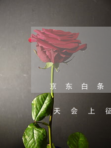 京东白条逾期几天会上征信(京东白条逾期几天会上征信)