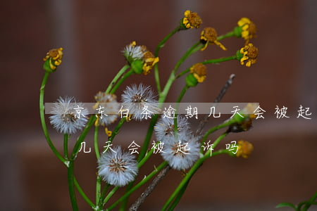 京东白条逾期几天会被起诉吗(京东白条逾期几天会被起诉吗)