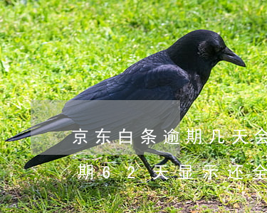 京东白条逾期几天会要求还全款（京东白条逾期62天显示还全款）