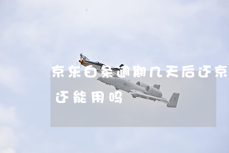 京东白条逾期几天后还(京东白条逾期几天后还能用吗)