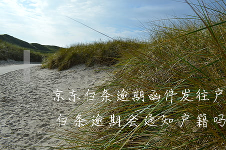 京东白条逾期函件发往户籍有什么影响（京东白条逾期会通知户籍吗）