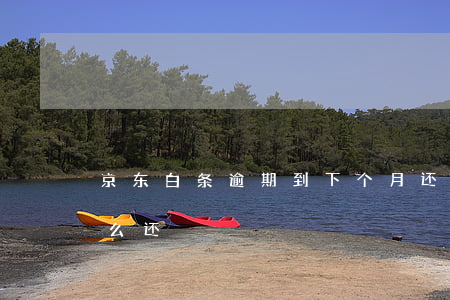 京东白条逾期到下个月还(京东白条逾期了怎么还)