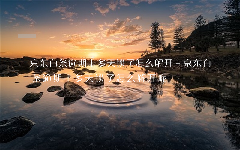 京东白条逾期十多天锁了怎么解开-京东白条逾期十多天锁了怎么解开呢
