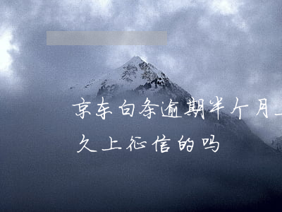 京东白条逾期半个月上征信 京东白条逾期多久上征信的吗