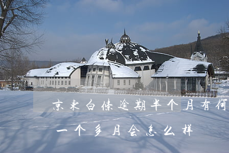 京东白条逾期半个月有何后果 京东白条逾期一个多月会怎么样