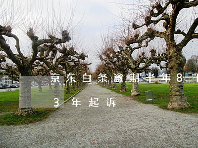 京东白条逾期半年8千起诉-京东白条逾期3年起诉