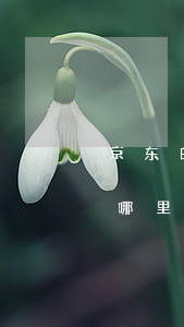 京东白条逾期半年了(京东白条逾期半年了到哪里起诉)