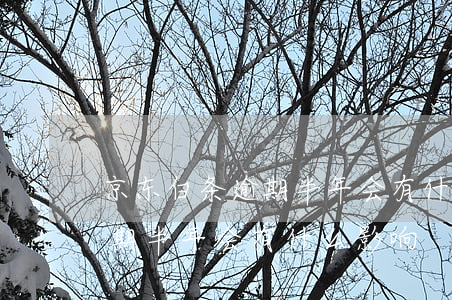 京东白条逾期半年会有什么影响(京东白条逾期半年会有什么影响)