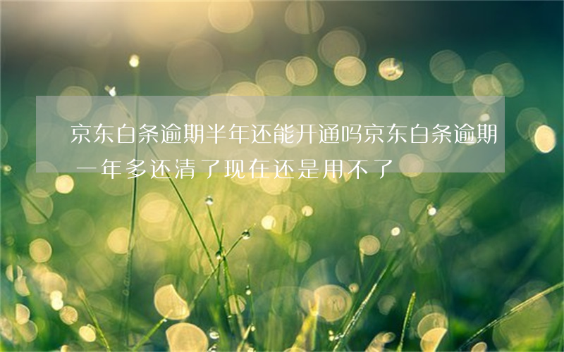 京东白条逾期半年还能开通吗(京东白条逾期一年多还清了现在还是用不了)