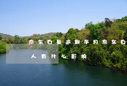 京东白条逾期半月(京东白条逾期半月了,对个人有什么影响?)