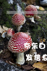 京东白条逾期发信息说家访-京东白条逾期发信息说要来家里