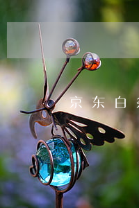 京东白条逾期发彩信(京东白条逾期发短信了)
