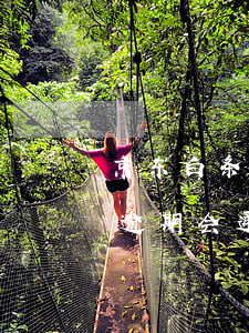 京东白条逾期发的通告函会上门吗 京东白条逾期会通知吗