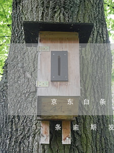 京东白条逾期发通告函影响征信吗-京东白条逾期发通告函影响征信吗怎么办