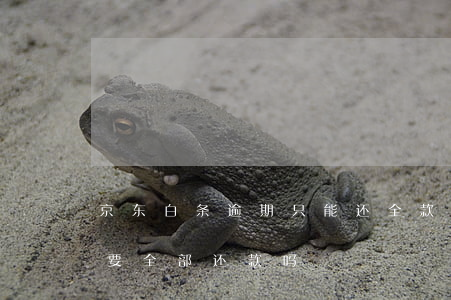 京东白条逾期只能还全款吗 京东白条逾期需要全部还款吗?
