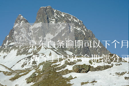 京东白条逾期可以下个月还吗(京东白条逾期两个月只还逾期部分可以吗)