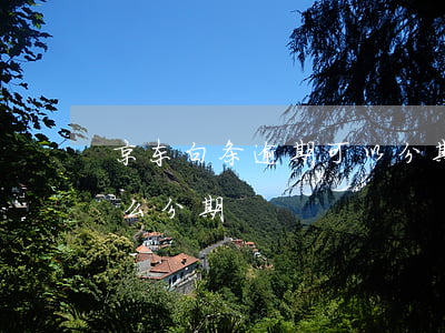 京东白条逾期可以分期么 京东白条逾期后怎么分期