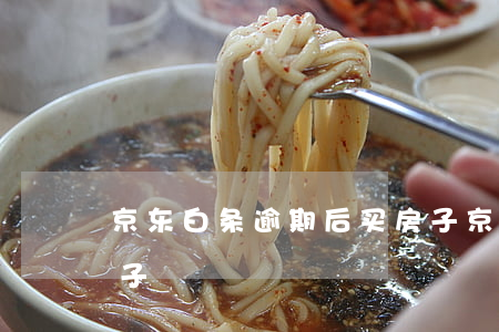 京东白条逾期后买房子(京东白条逾期后买房子)