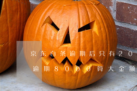 京东白条逾期后只有200额度了 京东白条逾期8000算大金额吗