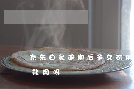 京东白条逾期后多久可以用(京东白条逾期还能用吗)