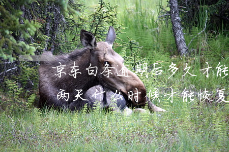 京东白条逾期后多久才能开通(京东白条逾期两天什么时候才能恢复使用)