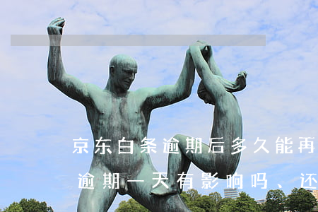 京东白条逾期后多久能再次使用-京东白条逾期一天有影响吗、还能再用吗