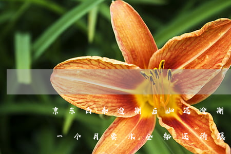 京东白条逾期后归还逾期部分(京东白条逾期一个月要求全部还清跟京东协商)