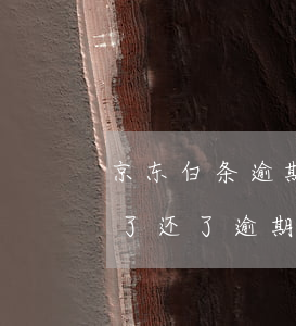 京东白条逾期后要全部还清吗(京东白条逾期了还了逾期部分其他的要一次还清吗)