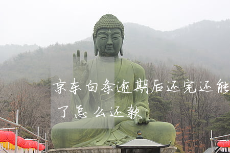 京东白条逾期后还完还能借吗(京东白条逾期了怎么还款)