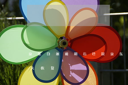 京东白条逾期后还款(京东白条逾期后还款多久恢复)