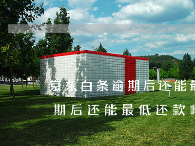 京东白条逾期后还能最低还款吗（京东白条逾期后还能最低还款吗）