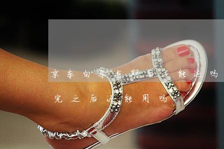 京东白条逾期后还能还吗-京东白条逾期还完之后还能用吗