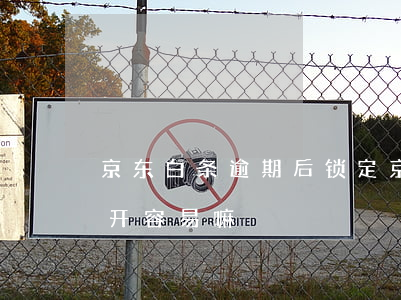 京东白条逾期后锁定(京东白条逾期后锁定,再开容易嘛)
